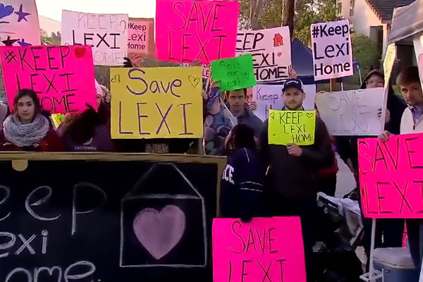 Take Action to Save Lexi Page